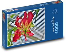 Kvet - koruna slávy, rastlina Puzzle 1000 dielikov - 60 x 46 cm 