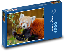 Animal - Panda Red Puzzle 1000 pieces - 60 x 46 cm 