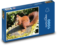 Nagetier - Eichhörnchen, Sonnenblume Puzzle 1000 Teile - 60 x 46 cm