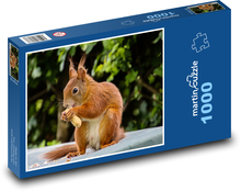 Zviera, hlodavec - Veverička Puzzle 1000 dielikov - 60 x 46 cm 
