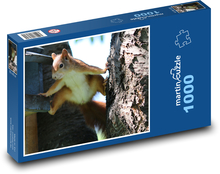 Veverka - zvíře, hlodavec Puzzle 1000 dílků - 60 x 46 cm