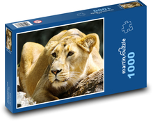 Lev - divoká zver Puzzle 1000 dielikov - 60 x 46 cm 