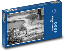 Zebry - Afrika, safari Puzzle 1000 dielikov - 60 x 46 cm 