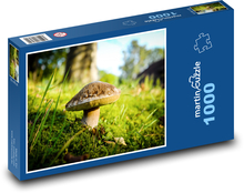 Huba v lese - mach, jeseň Puzzle 1000 dielikov - 60 x 46 cm