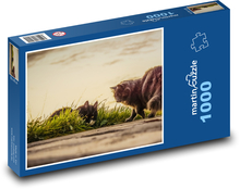 Katzen - Sonnenuntergang, Tiere Puzzle 1000 Teile - 60 x 46 cm