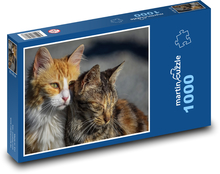 Smutné kočky - domácí mazlíčci, zvířata Puzzle 1000 dílků - 60 x 46 cm