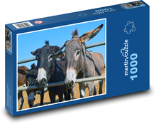 Donkeys - animals, farm Puzzle 1000 pieces - 60 x 46 cm 