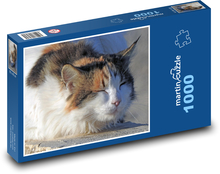 Spící kočka - domácí zvíře, vousky Puzzle 1000 dílků - 60 x 46 cm
