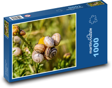 Šneci - měkkýši, příroda Puzzle 1000 dílků - 60 x 46 cm