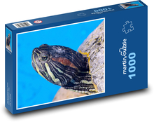 Želva - plaz, vodní živočich Puzzle 1000 dílků - 60 x 46 cm