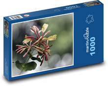 Zimolez - květina, rostlina Puzzle 1000 - 60x46 cm