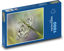 Motýl - okřídlený hmyz, křídla  Puzzle 1000 - 60x46 cm