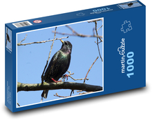 Starling - Vogel, Zweig Puzzle 1000 Teile - 60 x 46 cm