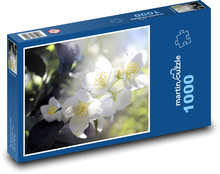 Bílý květ - strom, jaro Puzzle 1000 dílků - 60 x 46 cm