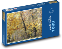 Podzimní les - stromy, park Puzzle 1000 dílků - 60 x 46 cm
