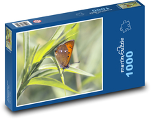 Okrídlený hmyz - medený motýľ, tráva Puzzle 1000 dielikov - 60 x 46 cm 
