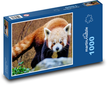 Roter Panda im Zoo Puzzle 1000 Teile - 60 x 46 cm