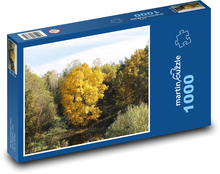 Barevný podzim - listy, stromy Puzzle 1000 dílků - 60 x 46 cm
