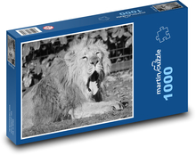 Lev - savec, zvíře Puzzle 1000 - 60x46 cm