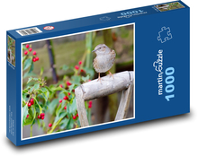 Spevný vták - príroda, zviera Puzzle 1000 dielikov - 60 x 46 cm 