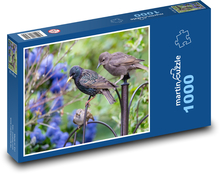 Mladý špaček - pták, zvíře Puzzle 1000 dílků - 60 x 46 cm