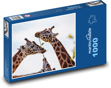 Žirafa - dlhý krk, zviera Puzzle 1000 dielikov - 60 x 46 cm 