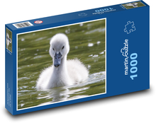 Biela labuť - mláďa, vták Puzzle 1000 dielikov - 60 x 46 cm 