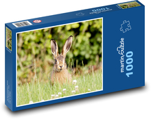 Zajíc v trávě - uši, zvíře Puzzle 1000 dílků - 60 x 46 cm