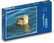 Malé house - vták, hus Puzzle 1000 dielikov - 60 x 46 cm 