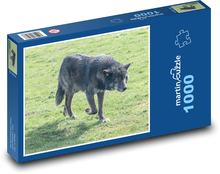 Wolf - predator, animal Puzzle 1000 pieces - 60 x 46 cm 