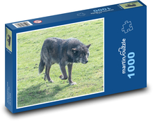 Wolf - Raubtier, Tier Puzzle 1000 Teile - 60 x 46 cm