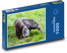Mravčiar - zviera, cicavec Puzzle 1000 dielikov - 60 x 46 cm
