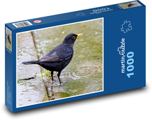 Kos w kałuży - ptak, zwierzę Puzzle 1000 elementów - 60x46 cm