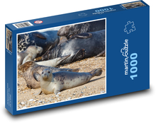 Siegel - Jungtier, Tier Puzzle 1000 Teile - 60 x 46 cm
