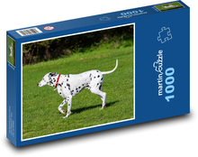 Dalmatin - pes, domácí zvíře Puzzle 1000 dílků - 60 x 46 cm