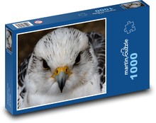 Sokol - savec, pták  Puzzle 1000 dílků - 60 x 46 cm