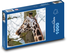 Żyrafa - rogi, długa szyja Puzzle 1000 elementów - 60x46 cm
