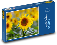 Slunečnice - žluté květiny, rostliny  Puzzle 1000 dílků - 60 x 46 cm