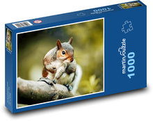 Eichhörnchen - Nagetier, Tier Puzzle 1000 Teile - 60 x 46 cm