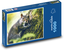Squirrel - animal, forest Puzzle 1000 pieces - 60 x 46 cm