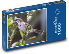 Vrabec na větvi - pták, větev Puzzle 1000 - 60x46 cm