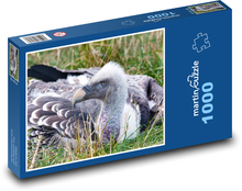 Sup veľký - vták, zviera Puzzle 1000 dielikov - 60 x 46 cm 
