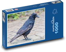 Stará vrana - vták, zviera Puzzle 1000 dielikov - 60 x 46 cm 