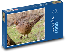 Slepice bažanta - pták, zvíře Puzzle 1000 dílků - 60 x 46 cm
