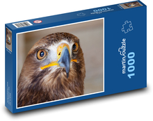 Buzzard - predator, bird Puzzle 1000 pieces - 60 x 46 cm 