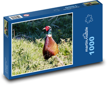 Fasan - Vogel, Jagd Puzzle 1000 Teile - 60 x 46 cm