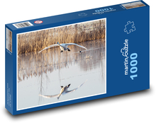 Fliegender Schwan - Vogel, Wasser Puzzle 1000 Teile - 60 x 46 cm