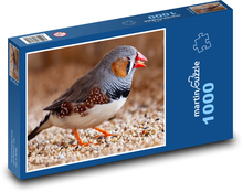 Zebřička pestrá - pták, zobák Puzzle 1000 dílků - 60 x 46 cm