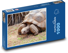 Obří želva - Seychely, plaz Puzzle 1000 dílků - 60 x 46 cm