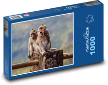 Macaque - monkeys, animals Puzzle 1000 pieces - 60 x 46 cm 